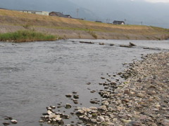 田舎の川