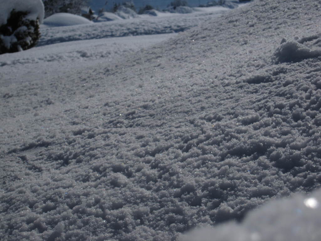 雪面