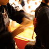 願いを込めて