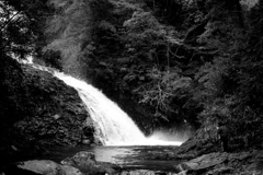 八重滝