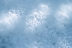 雪の朝