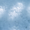 雪の朝