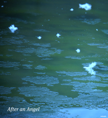 After an Angel