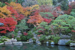 滋賀県東近江市紅葉２０１１ 014