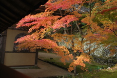 滋賀県東近江市紅葉２０１１ 076