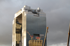 7D　撮って出し1