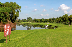 Golf in Bangkok 01