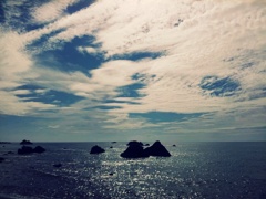 海