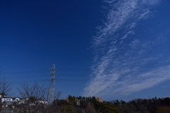 DSC_0991