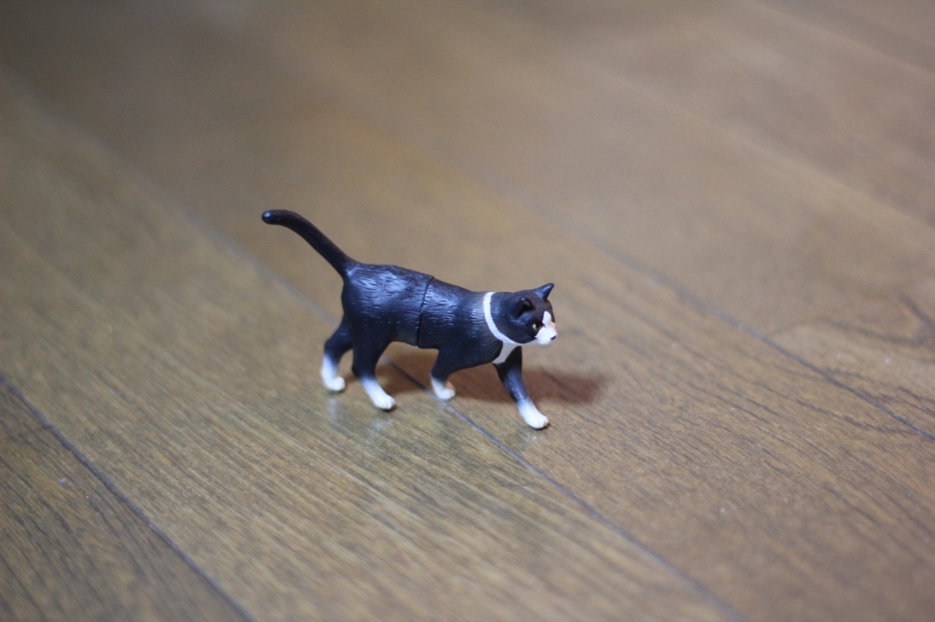 のらにゃんこ？