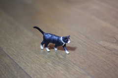 のらにゃんこ？