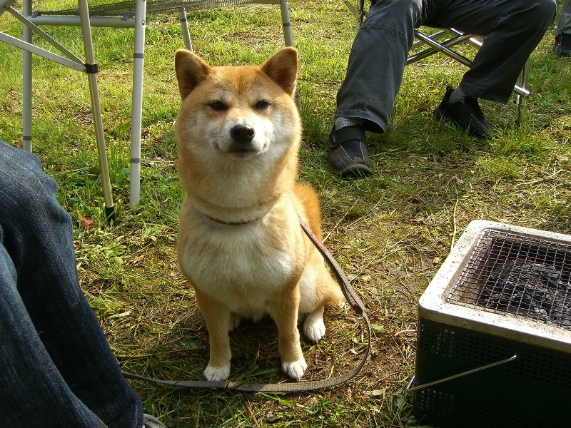 くぅ～ん