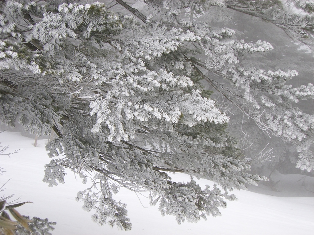 雪アート