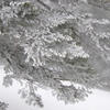 雪アート