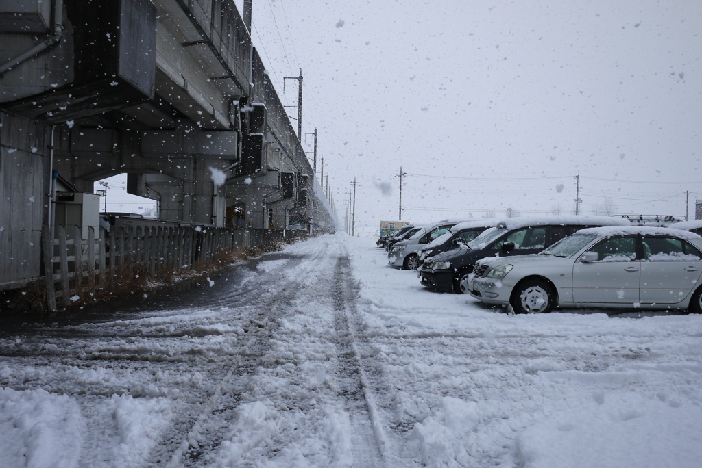雪の日3