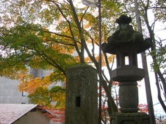 温泉神社の紅葉