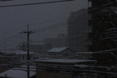 雪の日2