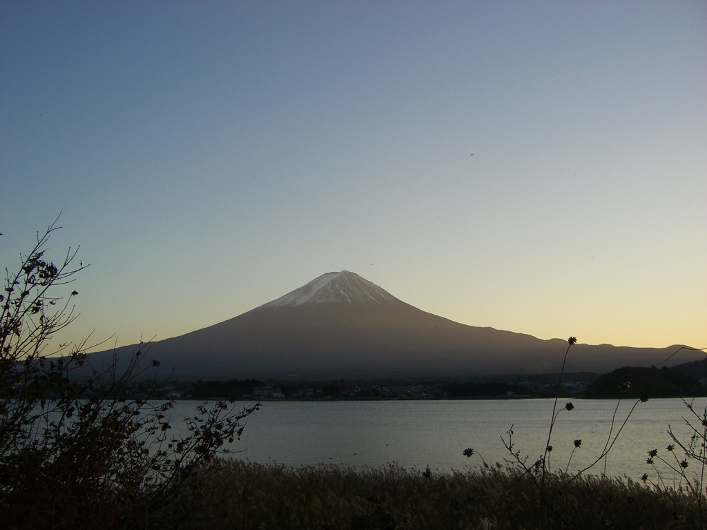 夕日を浴びて