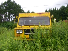 夏の雪上車