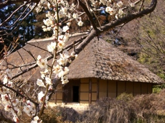 梅の香または華