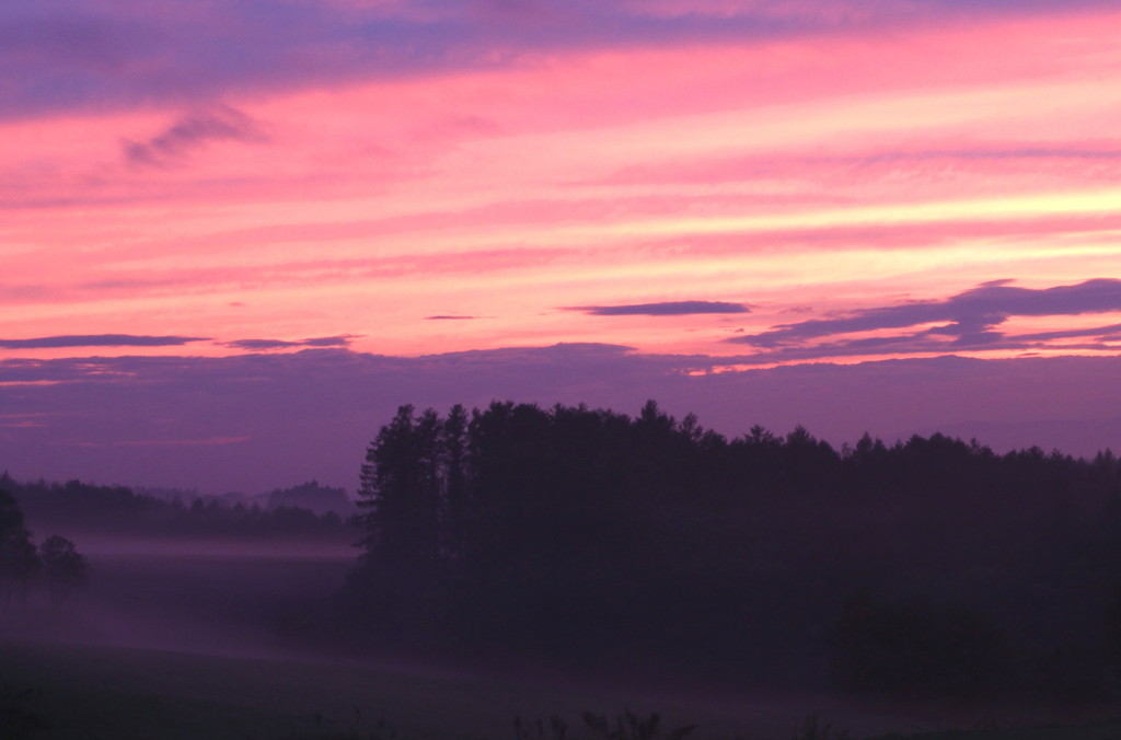 夕景