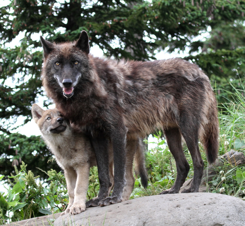 father & son