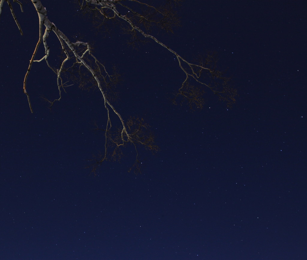 星空に