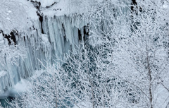 樹氷と氷柱