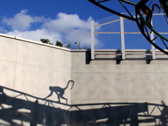 shadow
