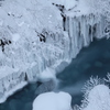 霧氷・樹氷