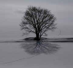 太陽と雲と雪が作る色