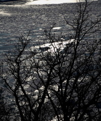 陽光の中の流氷