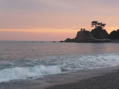 桂浜