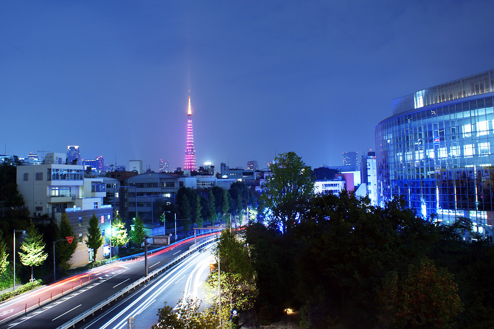 冬の東京タワー