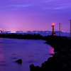 浜金谷の夜