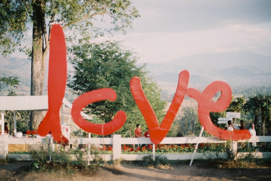 love