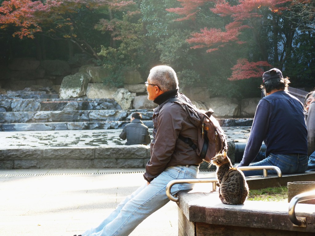 ネコとおじちゃん