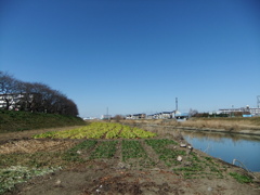 散歩道
