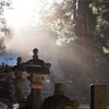 神社からの光