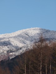 初冬の山