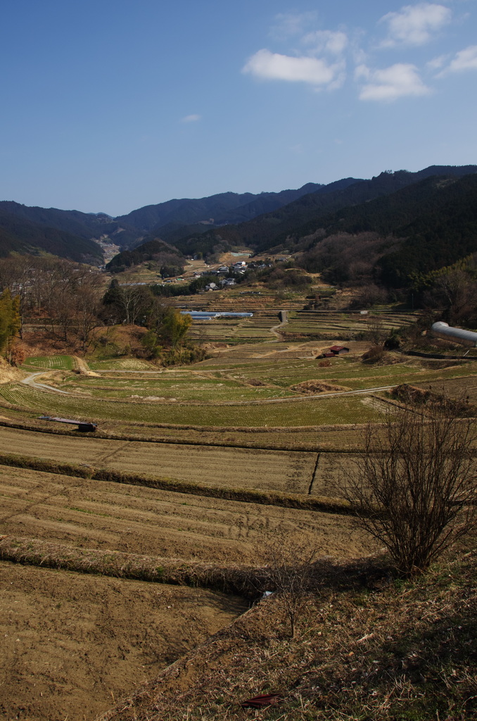 明日香村