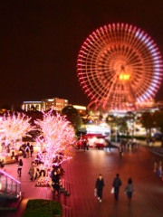 yokohama5