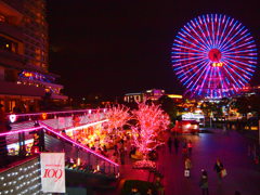 yokohama4