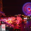 yokohama4
