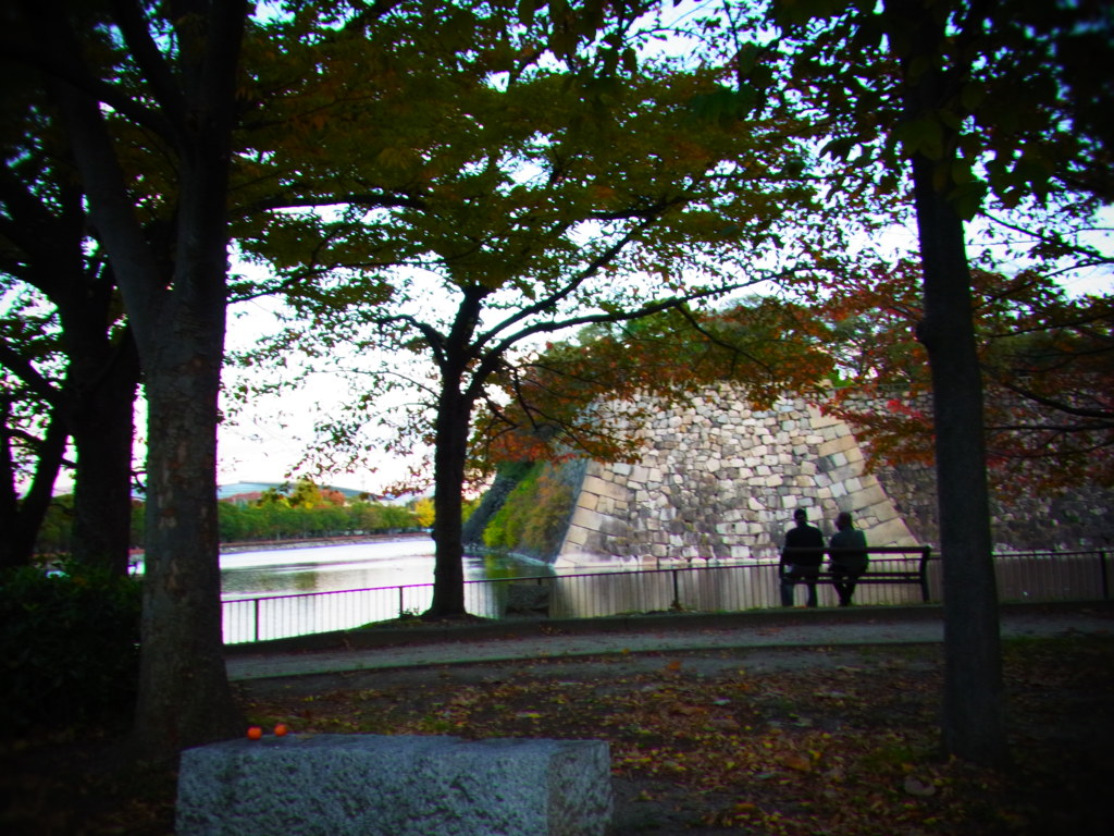 紅葉のなかで