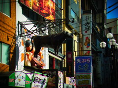 うし