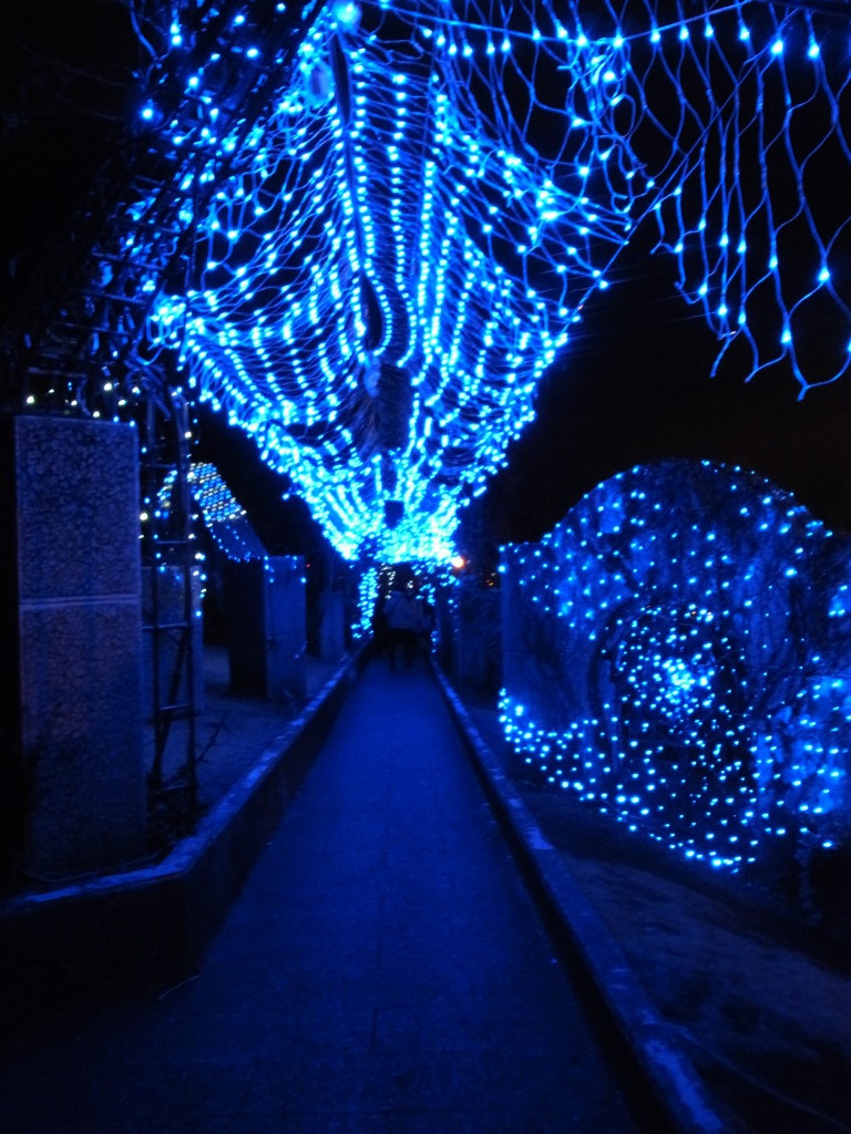 青光