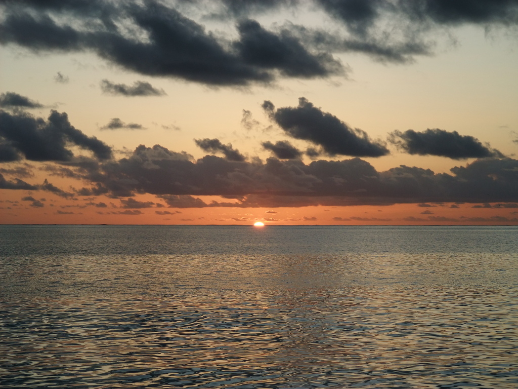 DSCF0256