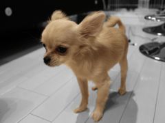 IMG_028601_R