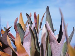 P1290674